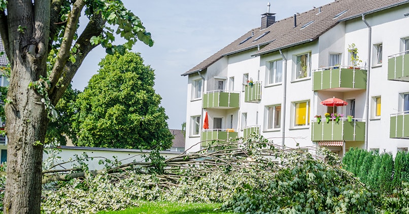 Welche Versicherung zahlt bei Sturmschäden?