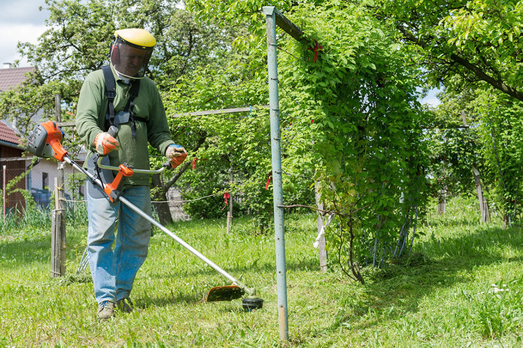 Lohnt es sich, einen Rasentrimmer für den Garten zu kaufen?