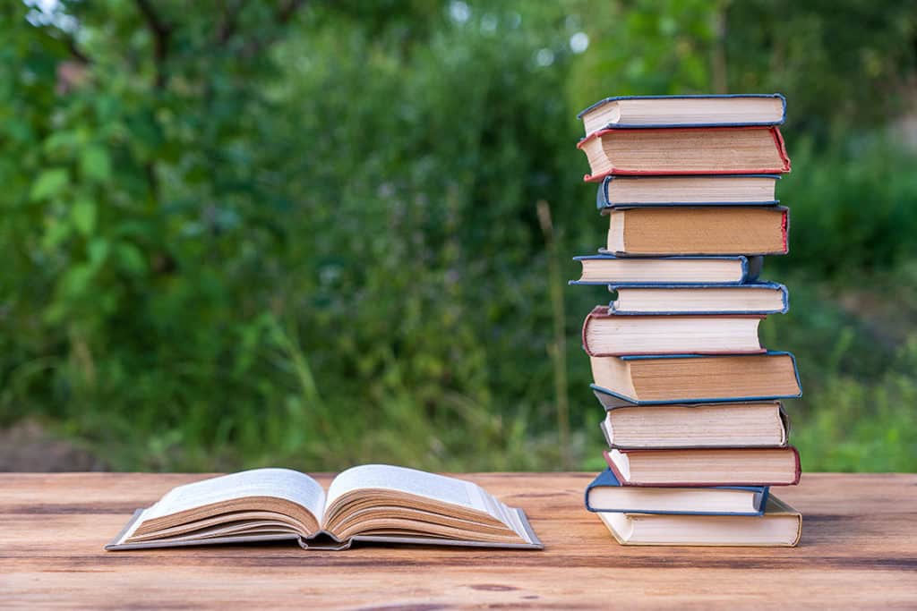 Bücher für die Ferien – welche Lektüre ist zu empfehlen?