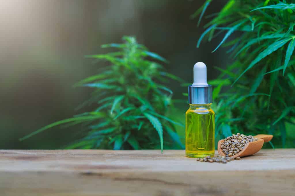 Produkte mit CBD Öl – eine echte Erfolgsgeschichte