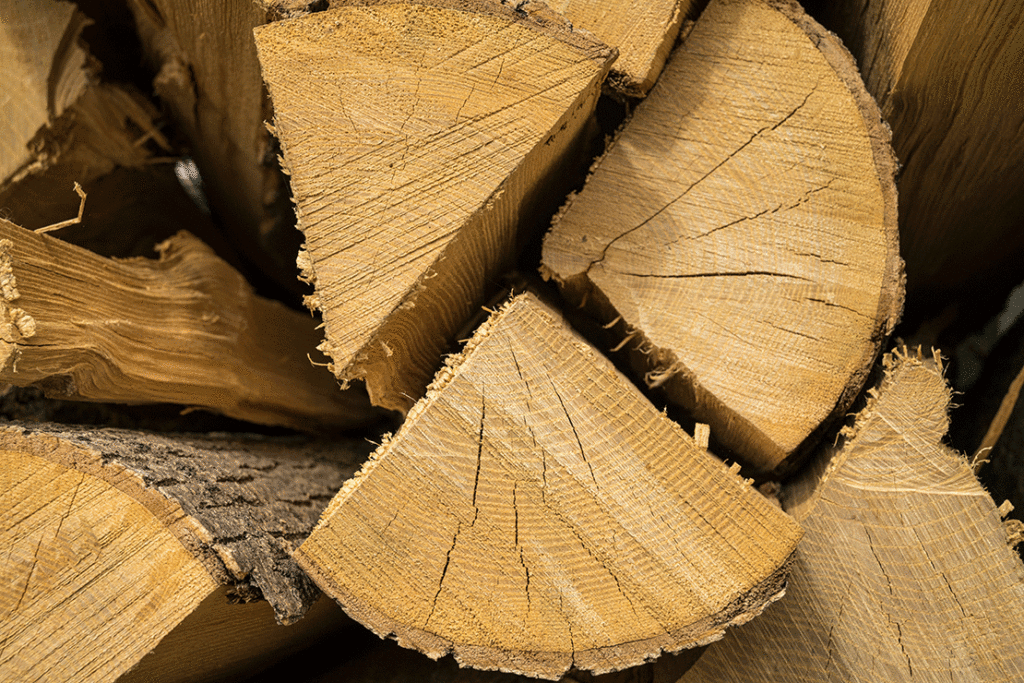 Darf jeder Brennholz im Wald sammeln?