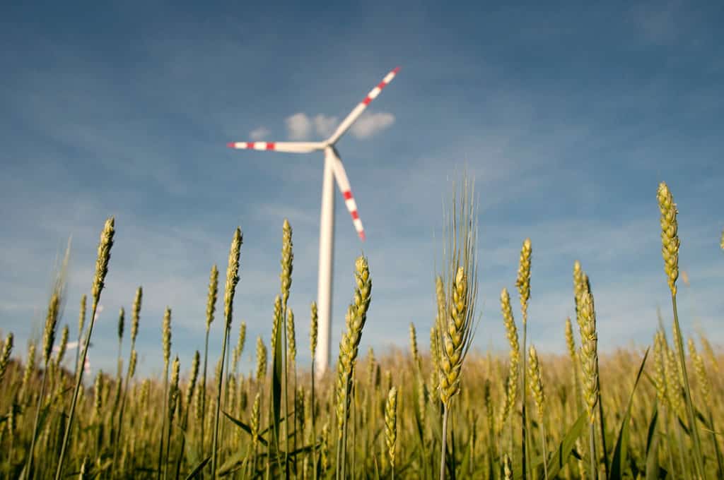 Klimawandel: Das muss sich in Unternehmen ändern