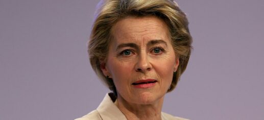 FDP wirft von der Leyen mangelndes Engagement für E-Fuels vor