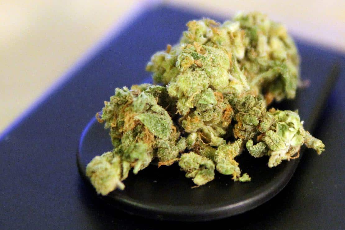 Besitz von 25 Gramm Cannabis und drei Pflanzen soll legal werden