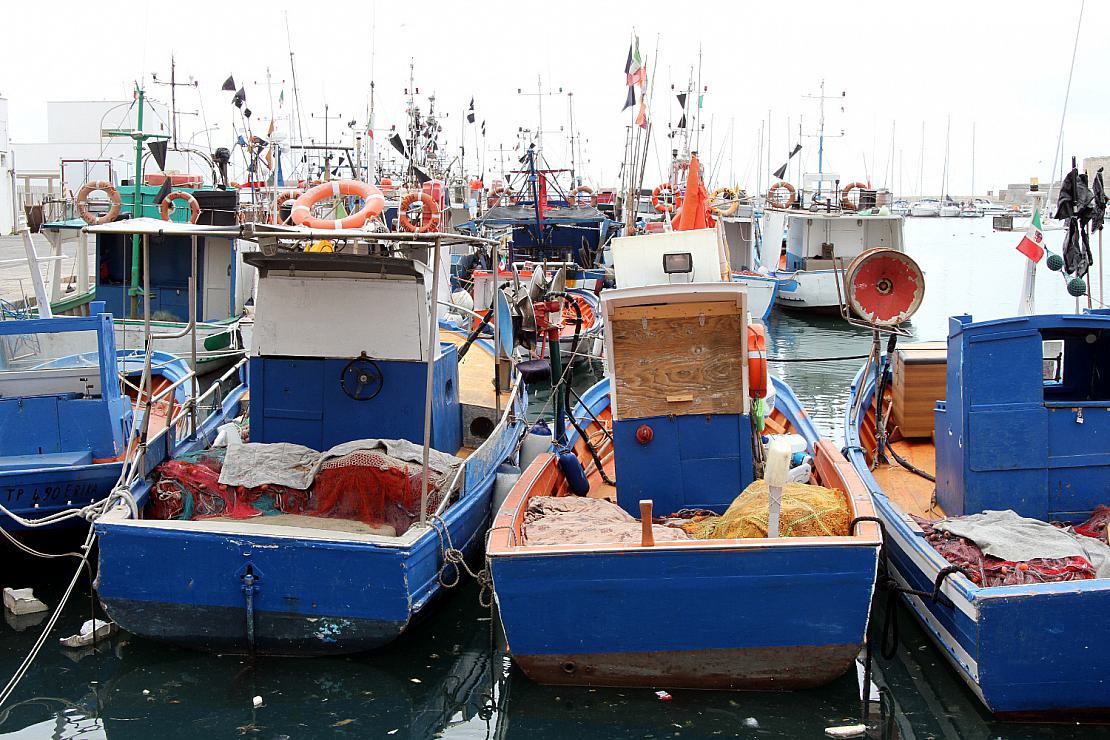 Landwirtschaftsministerium fördert Fischereiunternehmen
