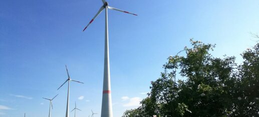 Windenergieverband kritisiert Brandenburger Denkmalschutzpläne