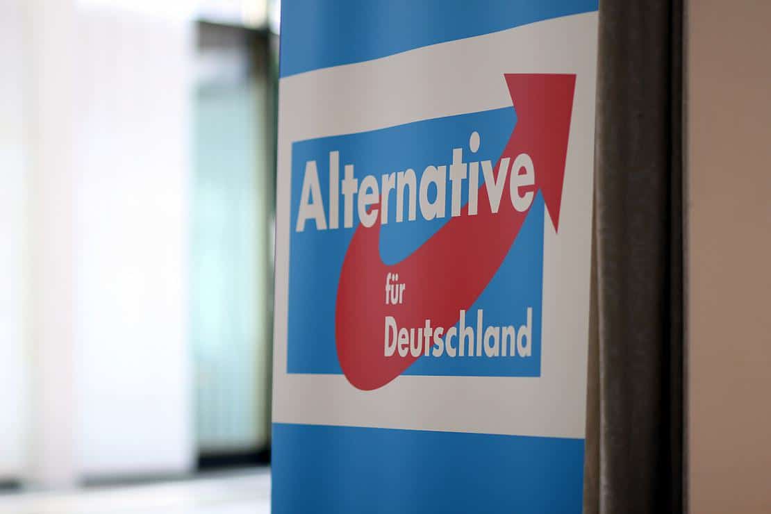 Brandenburgs Verfassungschutz sieht AfD auf extremistischem Kurs