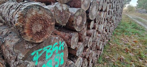 Kritik bei Grünen zu Holzheizungen im GEG
