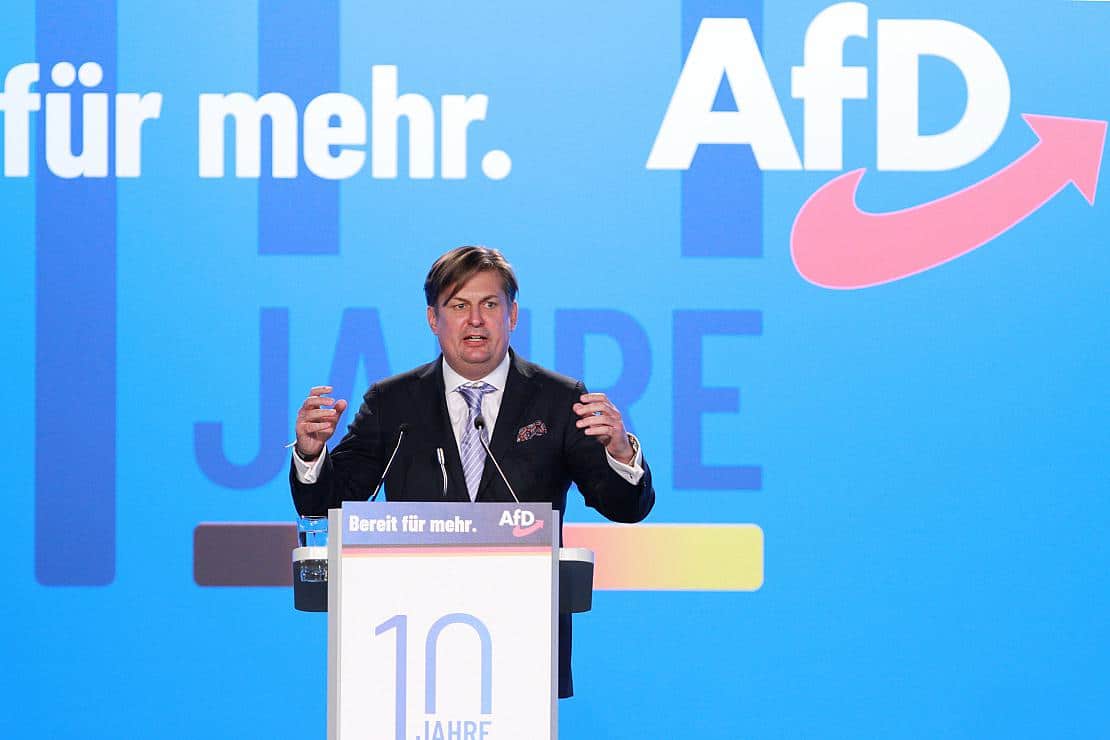 AfD kürt Maximilian Krah zum Spitzenkandidat für Europawahl