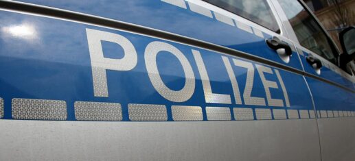 Polizei sucht offenbar entlaufene Löwin bei Berlin