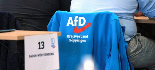 Demokratische-Parteien-loben-Haldenwang-fuer-Aeusserungen-zur-AfD.jpg