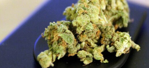 Kinderärzte für örtliche Begrenzung von Cannabis-Legalisierung