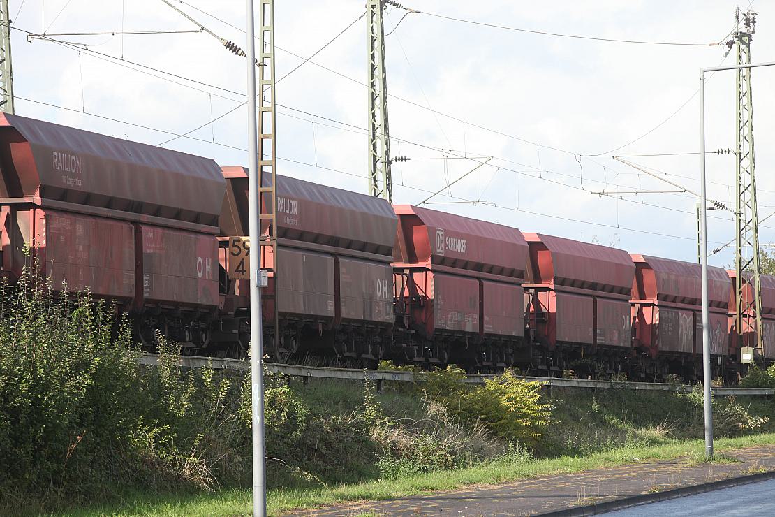 FDP will weniger Geld in Förderung von Schienengüterwagen investieren