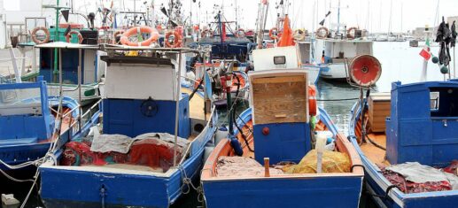 EU-Fischereirat-erhoeht-Nordsee-Fangmengen.jpg