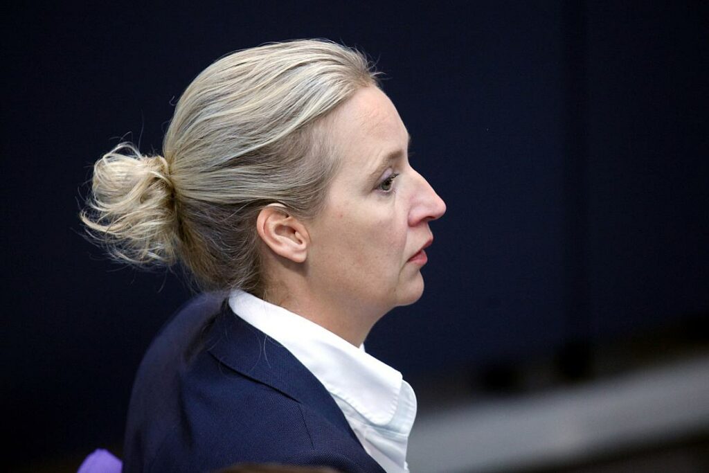 AfD: Entlassung von Weidels Referent nicht wegen Potsdamer Treffen