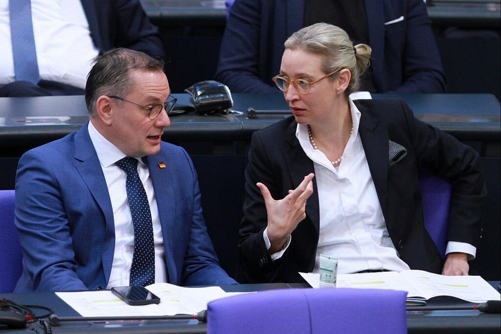 Ampel diskutiert Streichung staatlicher Zuschüsse für die AfD
