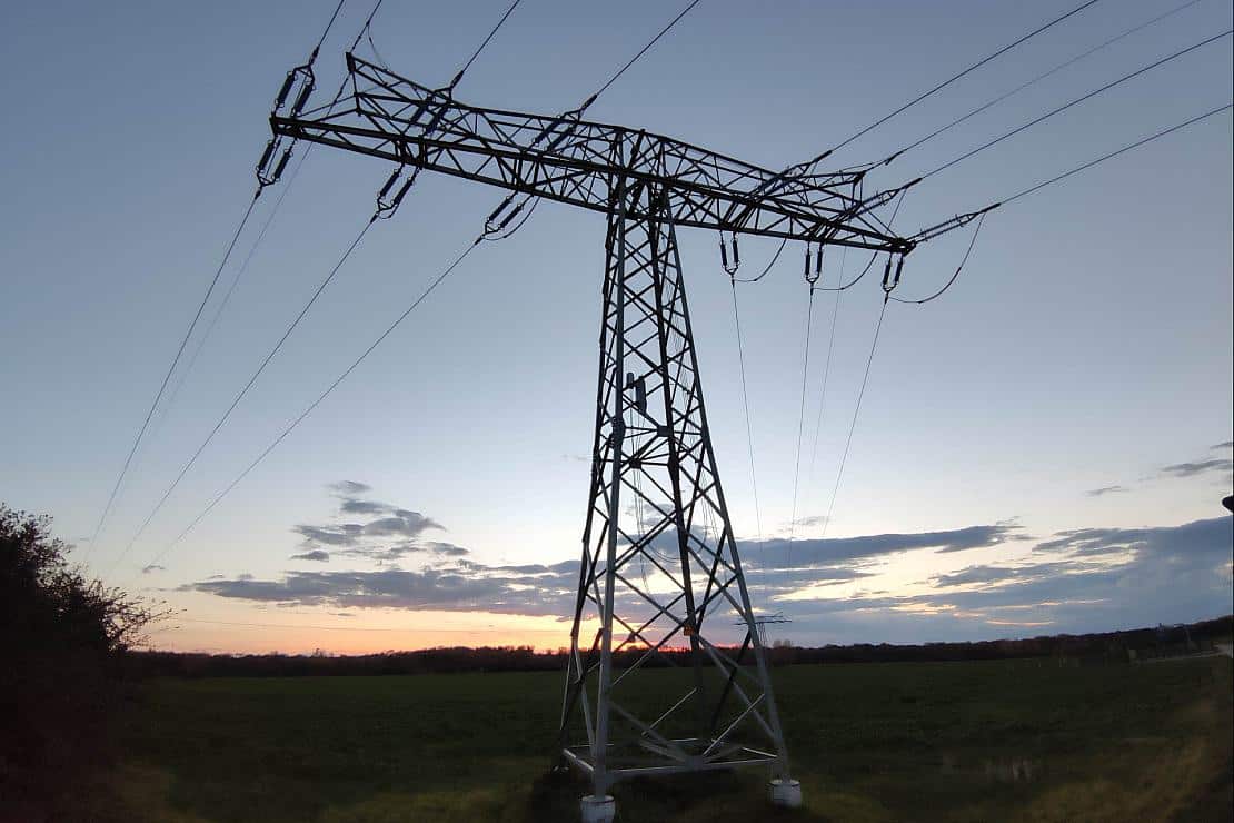 BASF verlangt staatliche Subvention der Stromnetze
