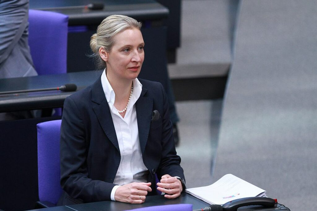 DIW-Präsident Fratzscher kritisiert Weidels Vorstoß zu EU-Austritt