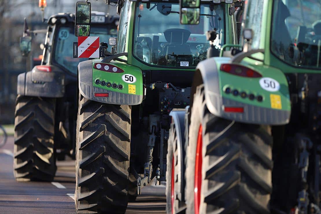 FDP will "mehr Planungssicherheit" für Landwirte