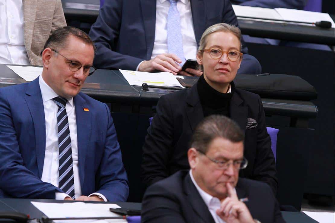Große Mehrheit der Deutschen besorgt wegen hoher Umfragewerte für AfD