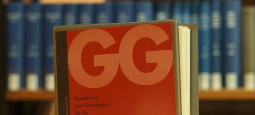 Grundgesetz-Wahlmann-fuer-besseren-Schutz-des-Verfassungsgerichts.jpg