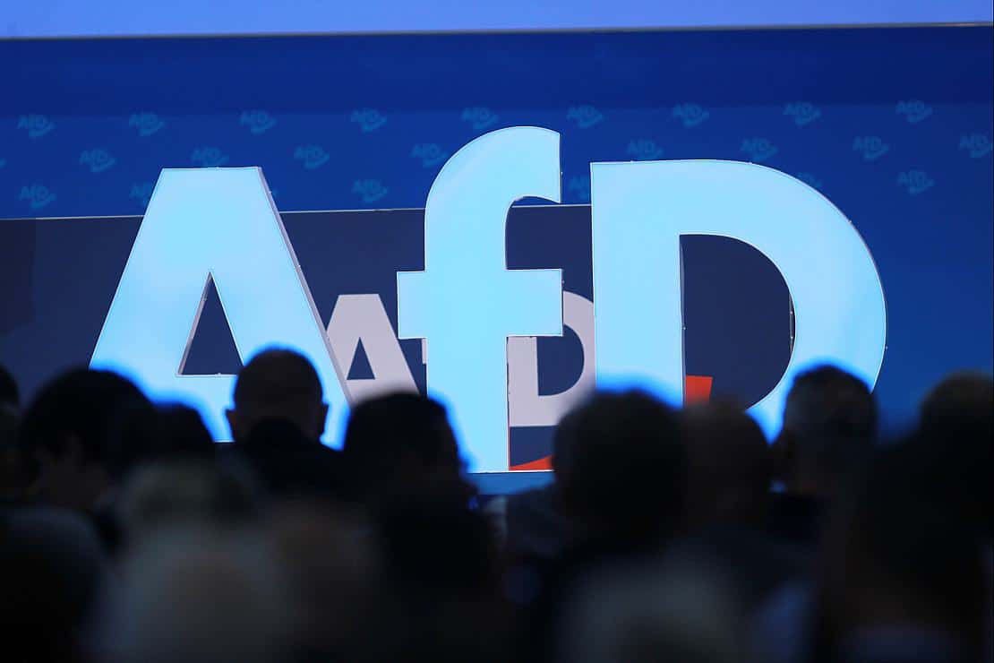 Professoren drängen auf Debatte über AfD-Verbot