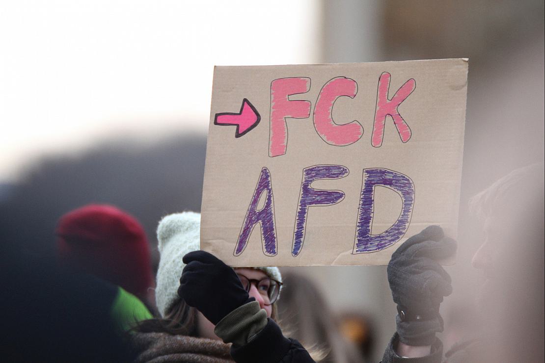 30.000 Teilnehmer bei Demonstration gegen AfD in Münster