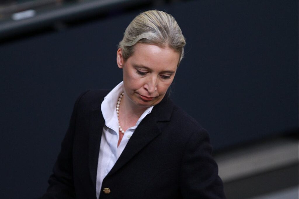 AfD-Chefin Weidel bezeichnet Verfassungsschutz als Verfassungsfeind