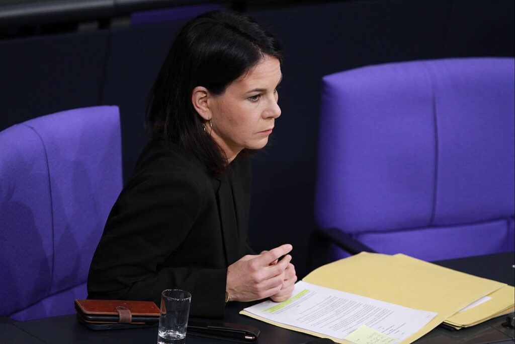 Baerbock erwägt finanzielle Anreize für Freiwilligendienste