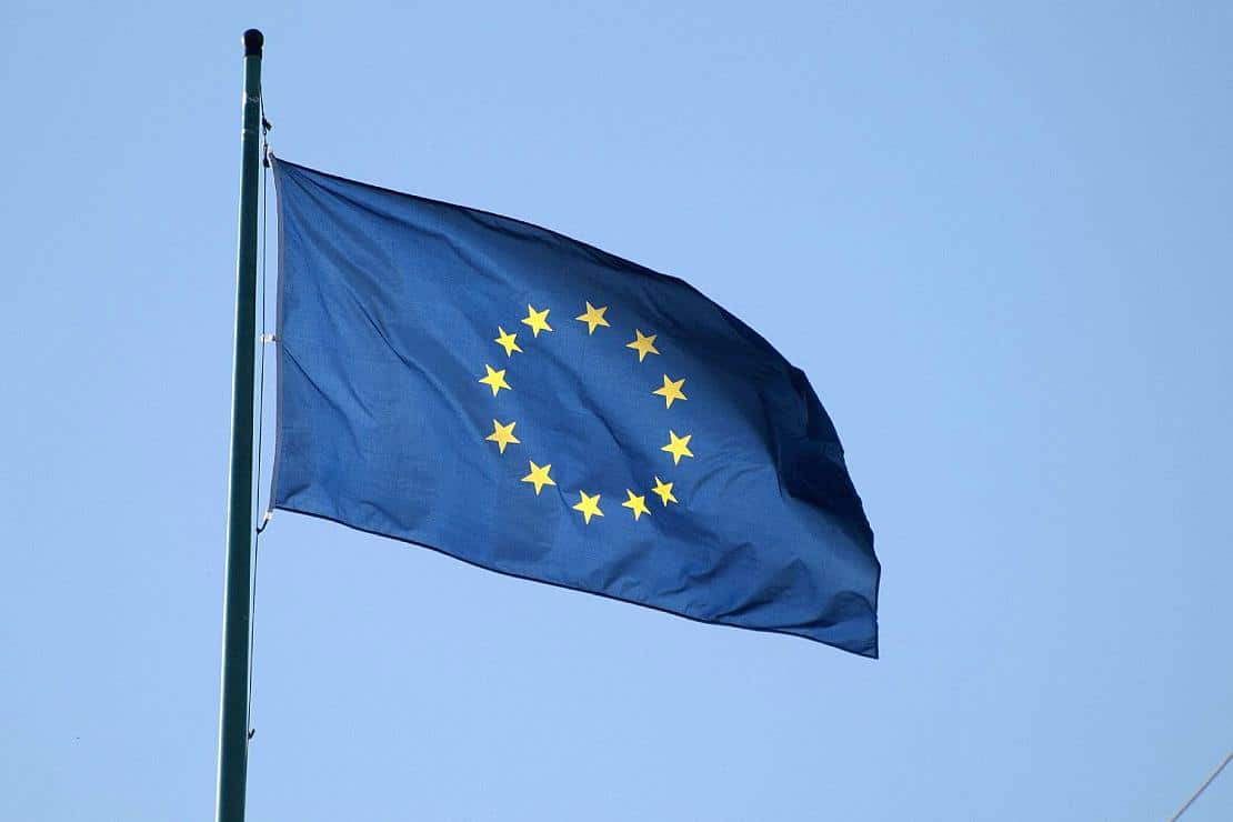 EU-Taskforce fordert "besondere Aufmerksamkeit" vor Europawahl