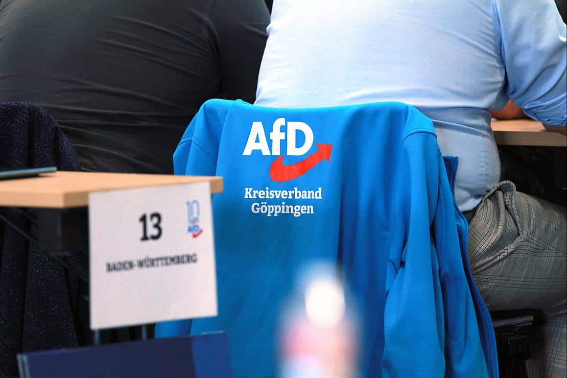IMK-Vorsitzender warnt vor AfD-"Verbotskakophonie"