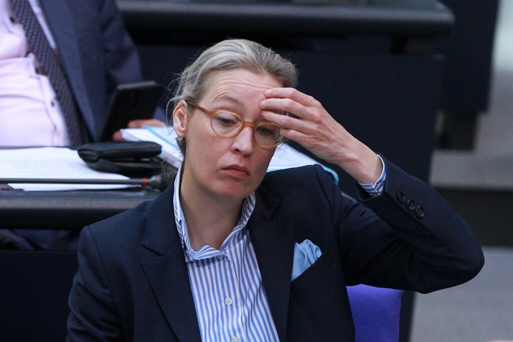 Mast: Weidel kennt deutsches Kulturgut nicht
