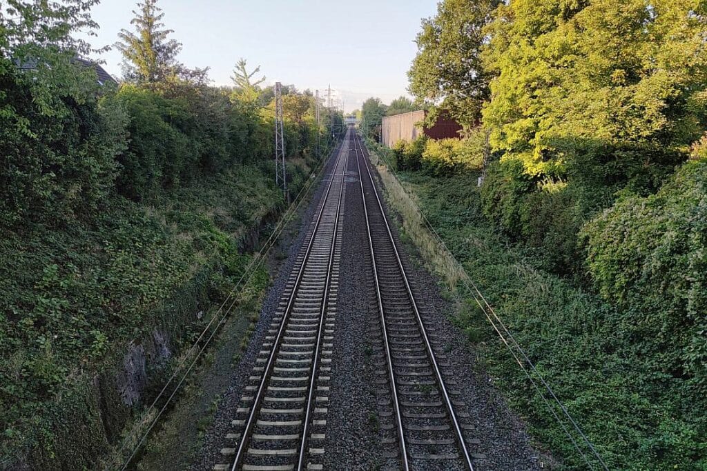 Umgestürzte Bäume stören immer häufiger den Bahnverkehr