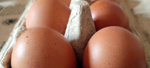 Eierproduktion-2023-leicht-gesunken.jpg