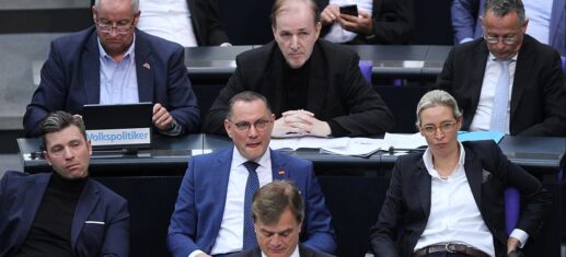 FDP-verteidigt-Umgang-mit-AfD-in-Bundestags-Ausschuessen.jpg