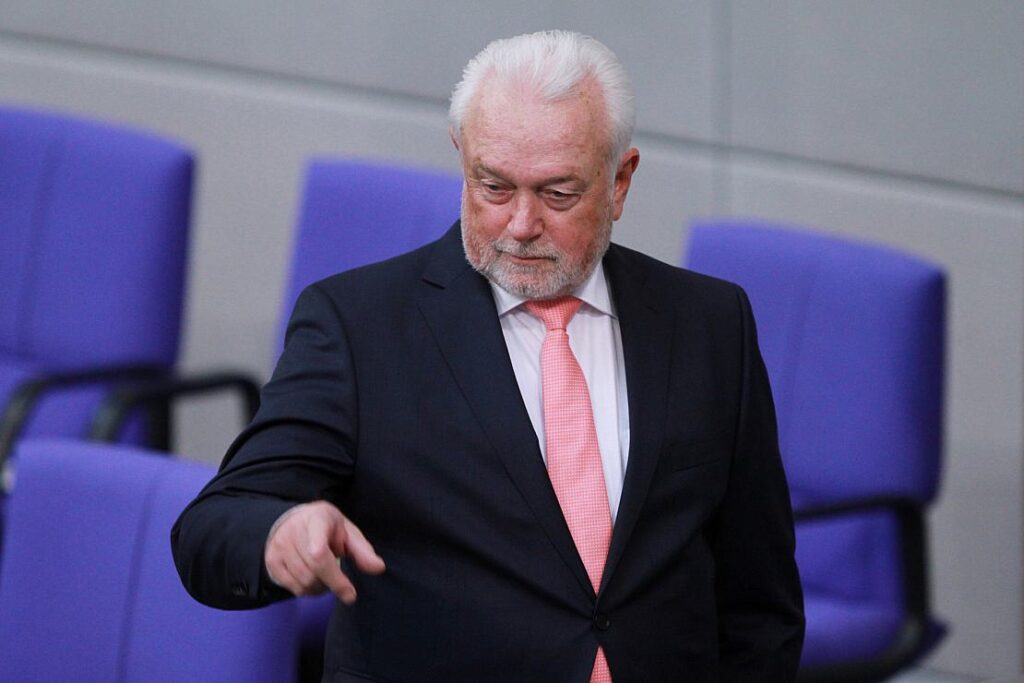 Kubicki: Alle Parlamentsmitarbeiter werden Überprüfungen unterzogen