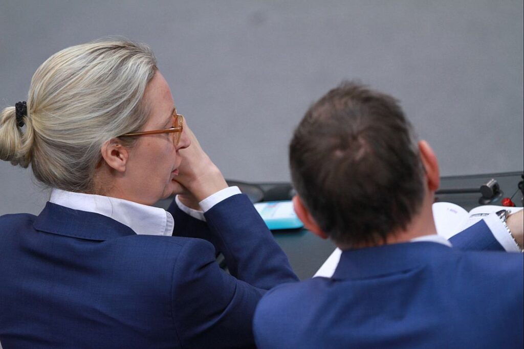 AfD-Politiker Fest wirft Parteivorsitzenden "schweres Versagen" vor