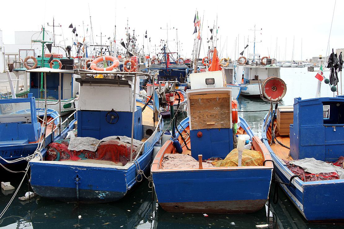 Bundesregierung beschließt umfassendes Aalfangverbot in der Nordsee