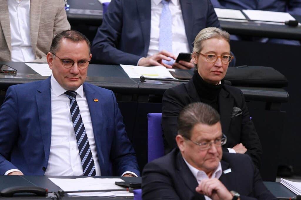 Forsa: Mehrheit der Deutschen hält AfD-Politiker für unseriös