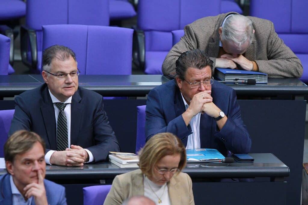 Grüne machen Druck für mögliches AfD-Verbotsverfahren