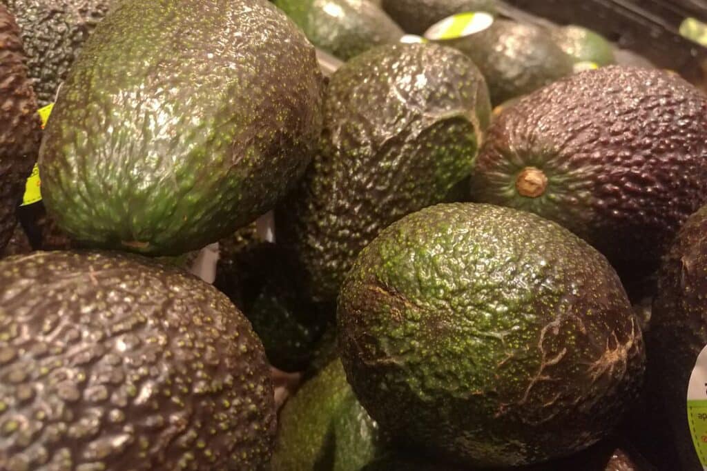 Importe von Avocados seit 2013 mehr als verfünffacht
