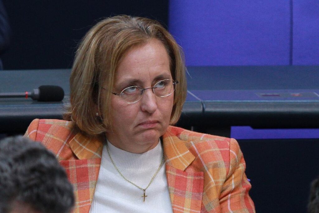 Insa: AfD auf niedrigstem Stand seit Mai 2023