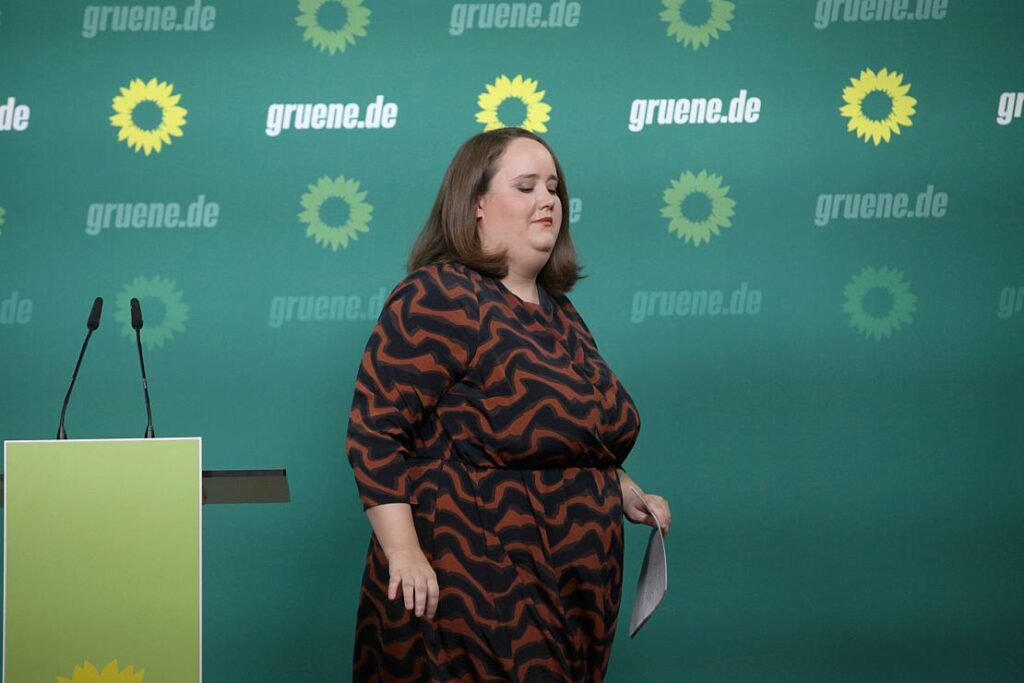 Lang spricht AfD "patriotische Gesinnung" ab