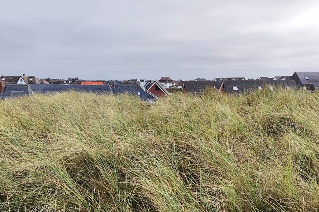 Arbeitsrechtsexperte: Sylt-Skandal rechtfertigt keine Kündigungen