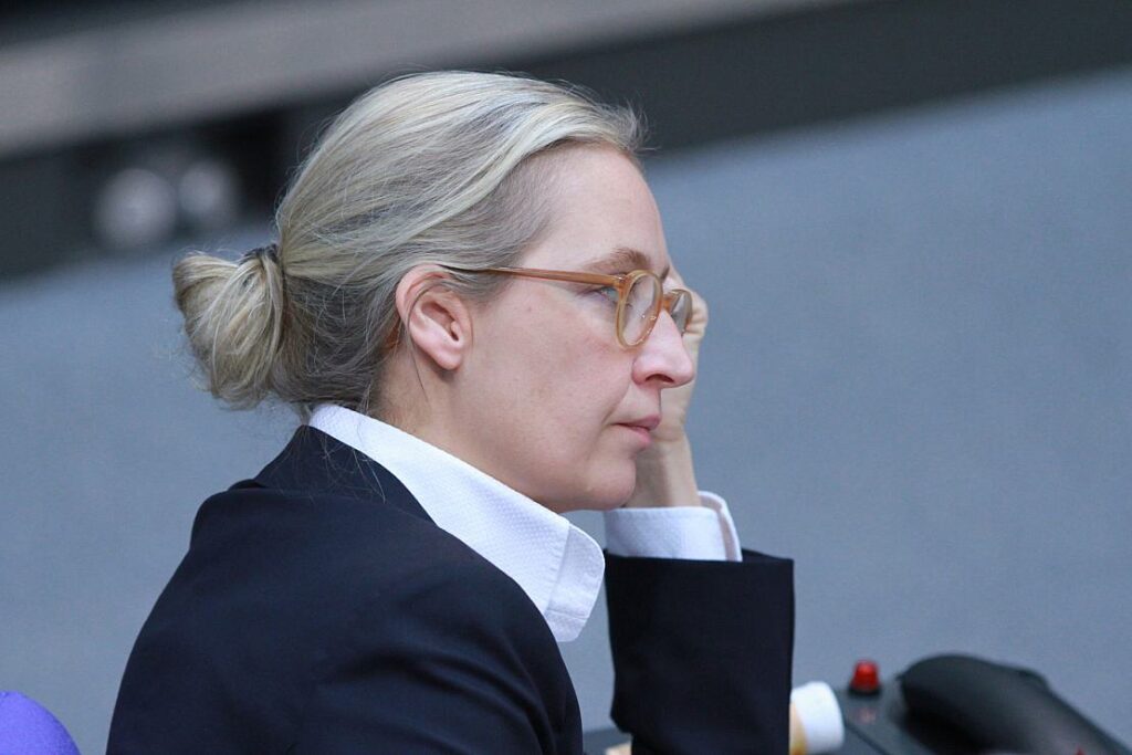 Bericht: Weidel kritisiert intern mangelnde Zurückhaltung Krahs