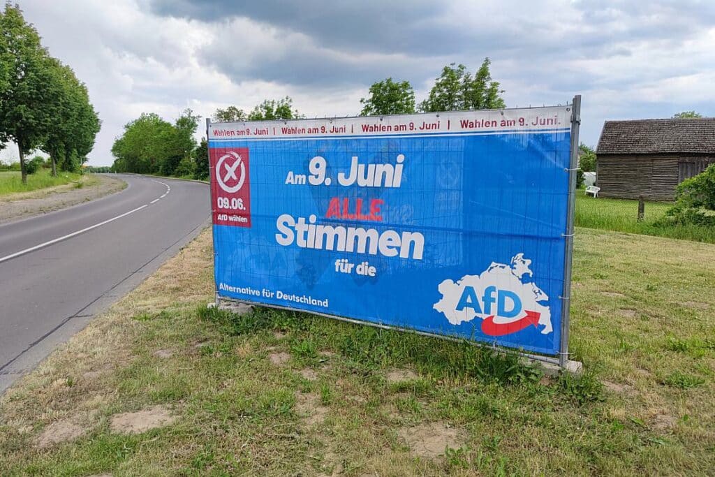 Grüne werten AfD-Rauswurf aus ID-Fraktion als Wahlkampfmanöver
