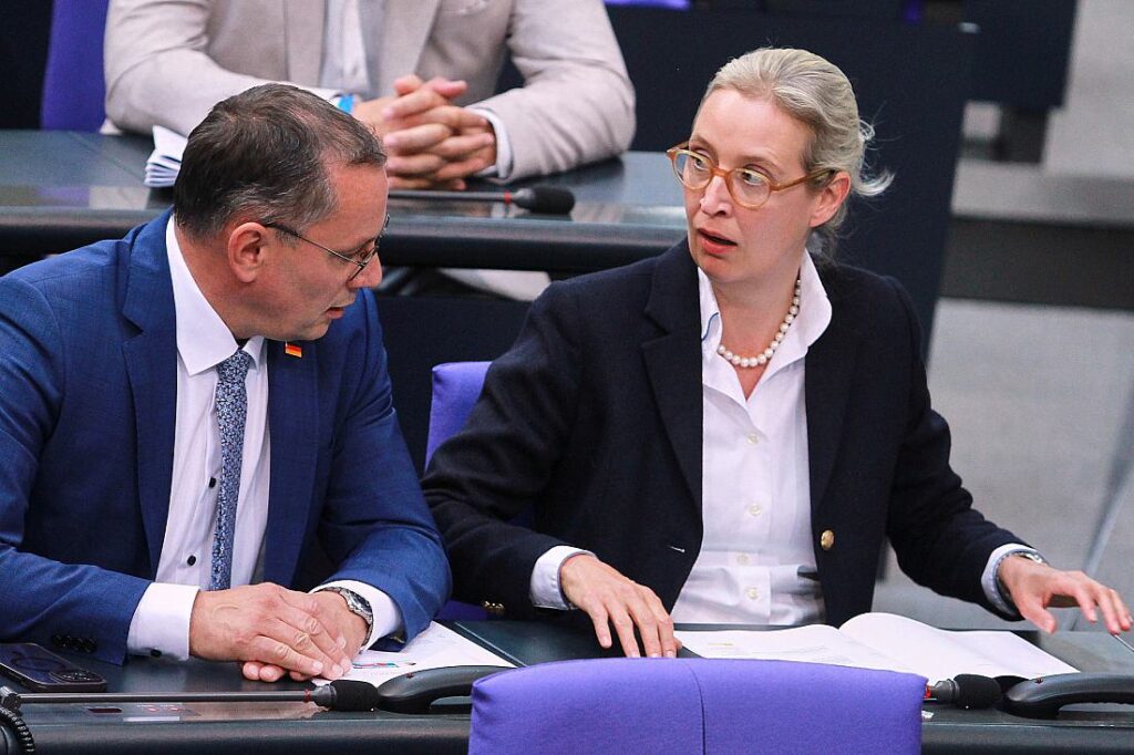 Bericht: AfD-Verbotsantrag verlangt Einzug des Parteivermögens