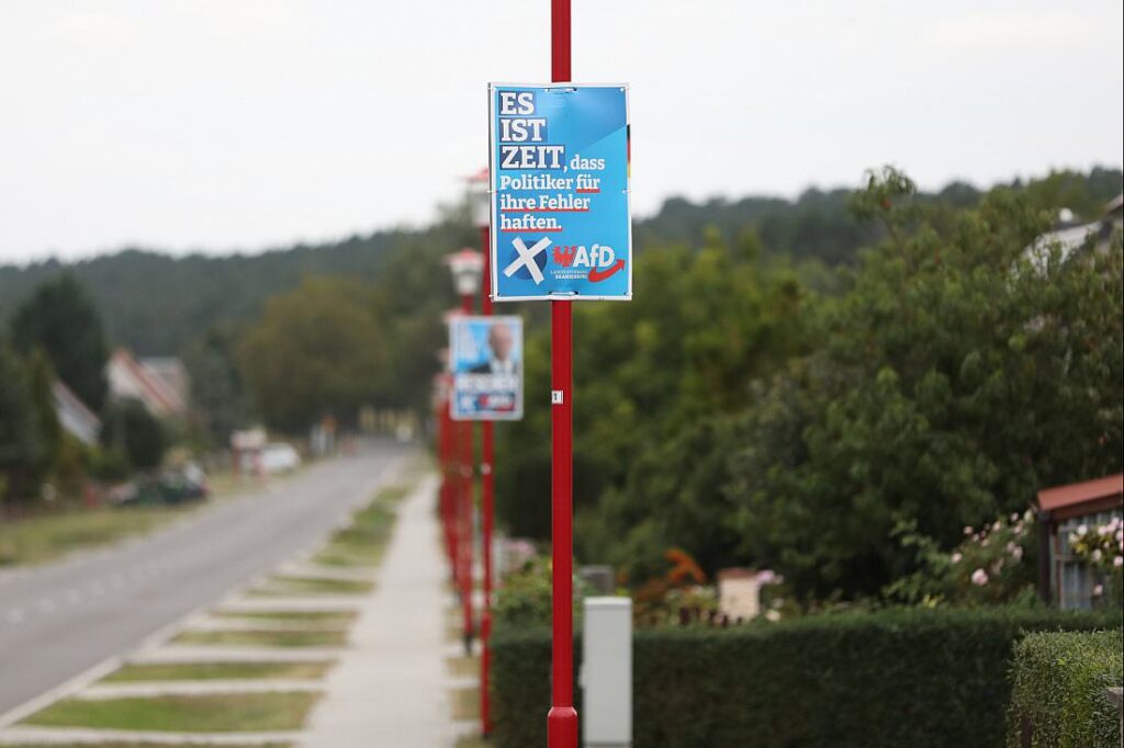 DIW befürchtet Konsequenzen in AfD-starken Regionen