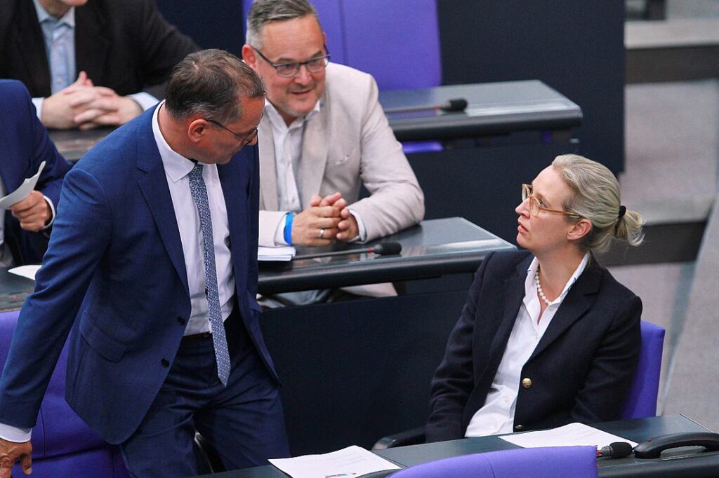 Spitzen von CDU und FDP sehen AfD-Verbotsverfahren kritisch