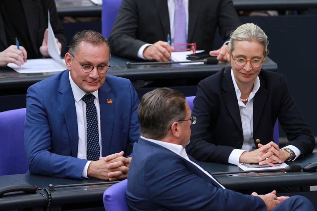 Urteil: AfD hat keinen Anspruch auf Ausschussvorsitze im Bundestag
